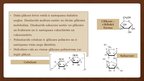 Presentations 'Ogļhidrāti-glikoze', 4.