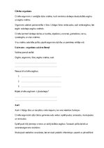 Samples 'Bioloģija – dzīvie organismi un cilvēka organisms', 19.