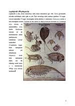 Research Papers 'Vēži jeb vēžveidīgo (Crustacea) klase', 4.