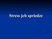 Presentations 'Stress jeb spriedze', 1.