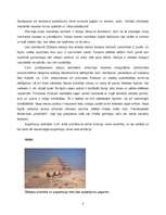 Research Papers 'Māksla senās Ēģiptes trešās faraonu dinastijas laikā', 3.
