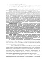 Research Papers 'Inflācija un bezdarbs Latvijā', 14.