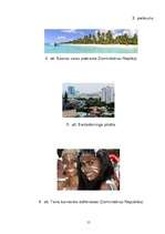 Research Papers 'Dominikānas un Haiti Republikas', 15.