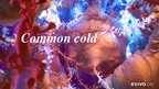 Presentations 'Common Cold', 1.