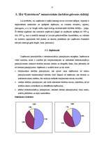 Research Papers 'SIA "Lattelekom" saimnieciskās darbības analīze', 13.