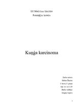 Presentations 'Kuņģa karcinoma', 1.