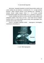 Presentations 'Kuņģa karcinoma', 20.
