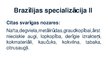Presentations 'Brazīlijas Federatīvās Republikas starptautiskā tirdzniecība un dalība starptaut', 19.