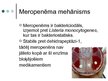 Presentations 'Antibiotika - meropenēms', 5.