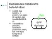 Presentations 'Antibiotika - meropenēms', 6.