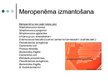 Presentations 'Antibiotika - meropenēms', 8.