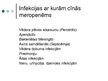 Presentations 'Antibiotika - meropenēms', 10.