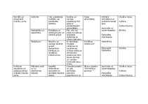 Summaries, Notes 'Plāns rotaļnodarbībai āra vidē (2. posmam) - Akmeņi', 3.