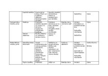 Summaries, Notes 'Plāns rotaļnodarbībai āra vidē (2. posmam) - Akmeņi', 4.