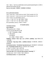 Research Papers 'Kuģa „Lancelot” izmaksu aprēķins', 30.