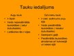 Presentations 'Tauki', 6.