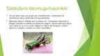 Presentations 'Bioindikatori', 9.