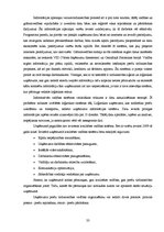 Term Papers 'Uzņēmuma SIA "Ream Latvija" darbības analīze un attīstības iespējas', 33.
