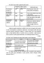 Term Papers 'Uzņēmuma SIA "Ream Latvija" darbības analīze un attīstības iespējas', 40.