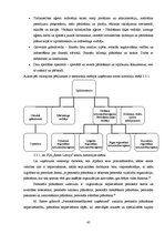 Term Papers 'Uzņēmuma SIA "Ream Latvija" darbības analīze un attīstības iespējas', 45.