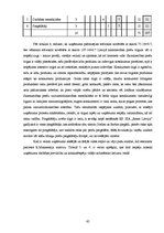 Term Papers 'Uzņēmuma SIA "Ream Latvija" darbības analīze un attīstības iespējas', 65.