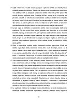 Term Papers 'Uzņēmuma SIA "Ream Latvija" darbības analīze un attīstības iespējas', 83.