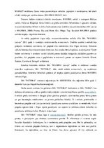 Research Papers 'SIA "Patrika" e-komercijas stratēģijas analīze', 3.