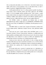 Research Papers 'SIA "Patrika" e-komercijas stratēģijas analīze', 7.