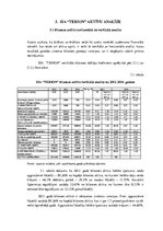 Research Papers 'SIA "Terion" bilances analīze', 19.