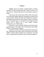 Research Papers 'Semiotika – zinātne par zīmēm un zīmju sistēmām', 23.