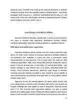 Research Papers 'Keramikas jumtu seguma materiāli', 10.
