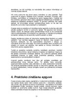 Practice Reports 'Darbs grāmatvedības birojā', 15.