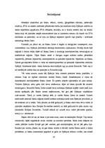 Research Papers 'Konflikts starp Spānijas valdību un teroristu organizāciju ETA', 36.