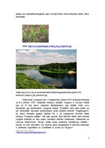 Research Papers 'Dabas parks "Daugavas loki"', 7.