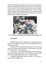 Research Papers 'Atkritumu problēmas', 10.