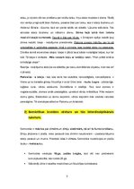 Summaries, Notes 'Kultūras semiotika. Eksāmena jautājumi.', 3.