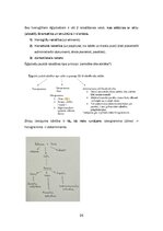 Summaries, Notes 'Kultūras semiotika. Eksāmena jautājumi.', 26.