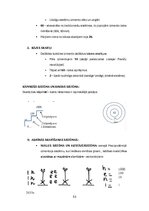 Summaries, Notes 'Kultūras semiotika. Eksāmena jautājumi.', 53.