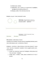 Summaries, Notes 'Kultūras semiotika. Eksāmena jautājumi.', 73.