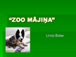 Business Plans 'Biznesa plāns "Zoo Mājiņa"', 25.