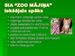 Business Plans 'Biznesa plāns "Zoo Mājiņa"', 32.
