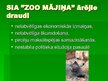 Business Plans 'Biznesa plāns "Zoo Mājiņa"', 35.