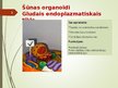 Presentations 'Šūnas organoīdi', 5.
