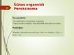 Presentations 'Šūnas organoīdi', 13.