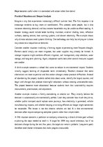 Essays 'Climate change and our future', 11.