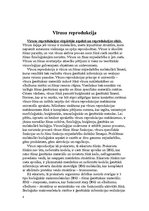 Research Papers 'Vīrusu klasifikācija un nomenklatūra', 8.