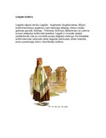Research Papers 'Latgale', 3.