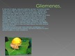 Presentations 'Gliemenes', 6.