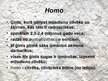 Presentations 'Homo habilis, Homo erectus', 2.