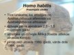 Presentations 'Homo habilis, Homo erectus', 3.